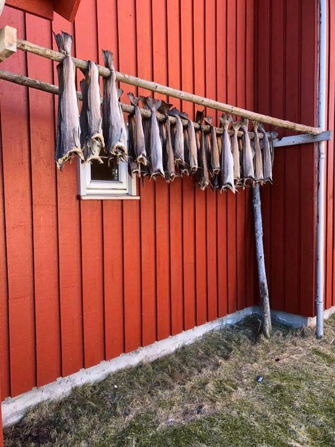 Ballstad Brygge Rorbu Екстериор снимка